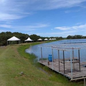 Imagem do WhatsApp de 2025-04-22 à(s) 10.16.30_daf9c1b7-min Imagem do WhatsApp de 2025-04-22 à(s) 10.16.30_daf9c1b7-min