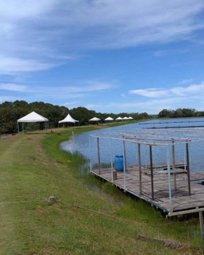 Imagem do WhatsApp de 2025-04-22 à(s) 10.16.30_daf9c1b7-min