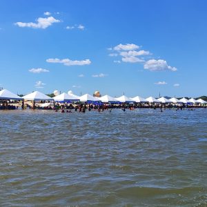 Imagem do WhatsApp de 2025-04-22 à(s) 10.16.41_4138e5b7-min Imagem do WhatsApp de 2025-04-22 à(s) 10.16.41_4138e5b7-min